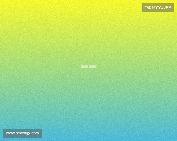 篮球赛事杯 篮球杯赛制