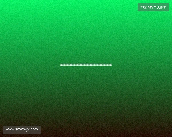 长春亚泰比赛直播观看、长春亚泰二零二四赛季中超联赛赛事深度解析与未来展望